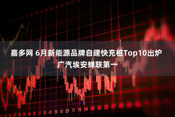 嘉多网 6月新能源品牌自建快充桩Top10出炉 广汽埃安蝉联第一